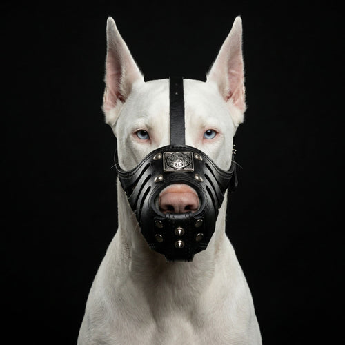 ''Eros'' Basket Muzzle All Black